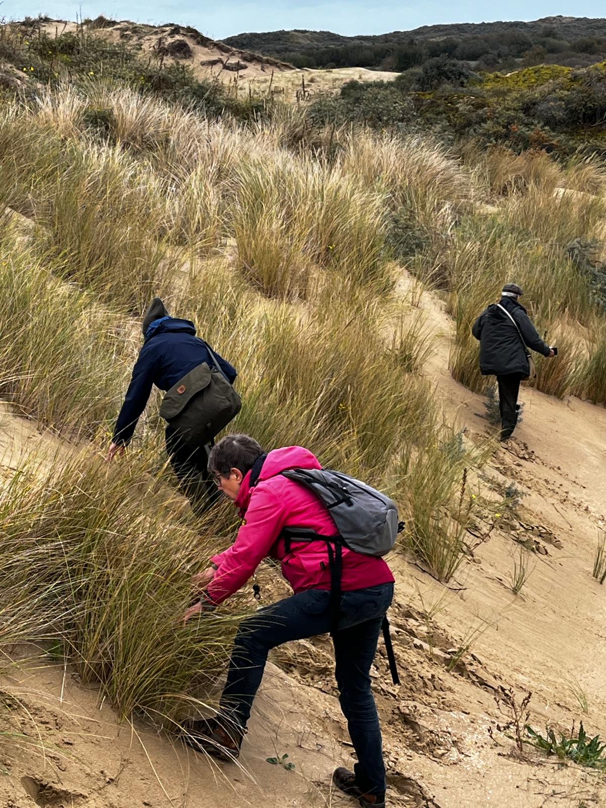 EXCURSIE1